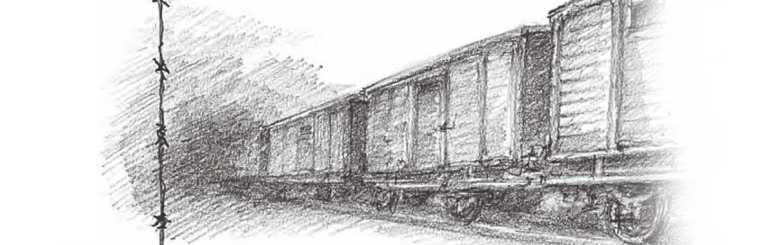 Foto di intestazione della pagina