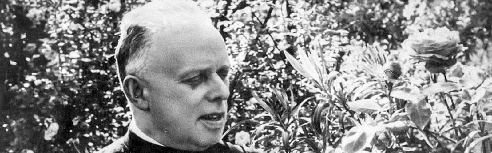 Foto di intestazione della pagina